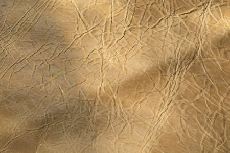Beige textured leather for design template and backgroundの写真素材