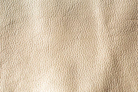 white textured leather for design template and backgroundの写真素材