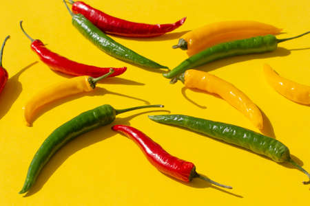colorful hot chili pepper on a yellow backgroundの写真素材
