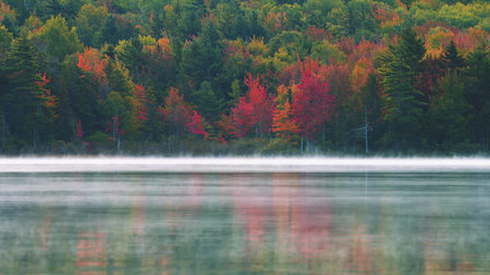 Autumn landscape at dawn of the lake in the fog