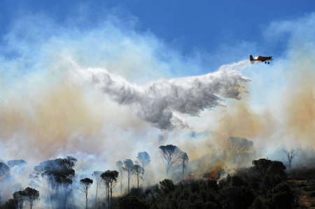 Extinguishing a forest fire as an art of drawingの写真素材