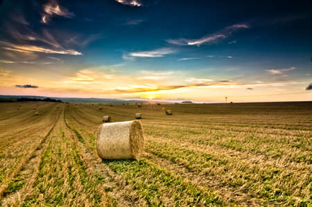 Hay bales on a huge fieldの写真素材
