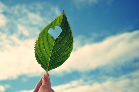Heart on a leaf of wood