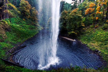Tall falling waterfall among the forest