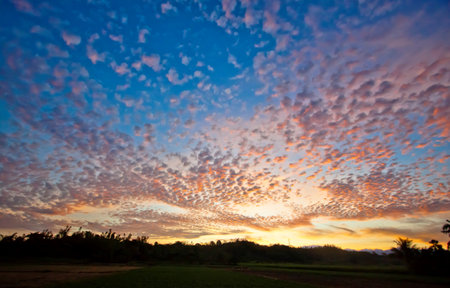 Photo showing cirrus clouds wonderful viewの写真素材