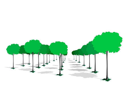 park trees background,  vector illustration のイラスト素材