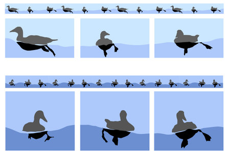 floating ducks motifs including seamless linear version  のイラスト素材