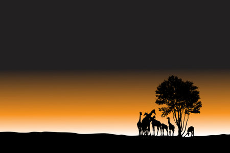african sunrise landscape, vector illustrationのイラスト素材