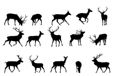 red deer silhouette,vector collection  のイラスト素材