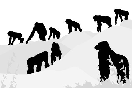 vector illustration of gorillas leaving のイラスト素材