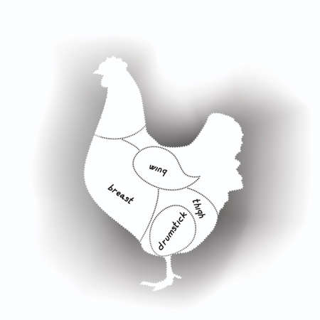chicken meat diagram - meat sections of chicken bodyのイラスト素材