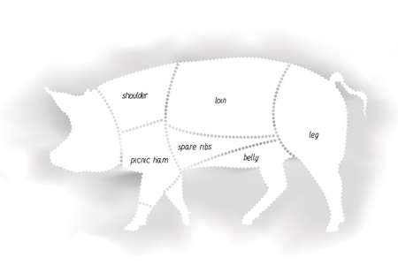Pork Meat Diagramのイラスト素材