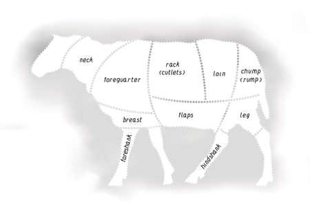 Lamb Meat Diagramのイラスト素材