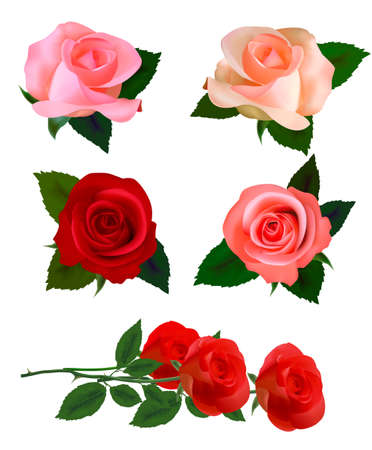 Set with a beautiful roses. Photo-realistic のイラスト素材