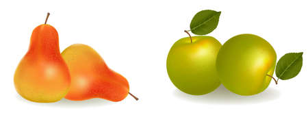 Group with red and green apples and sweet pear. のイラスト素材