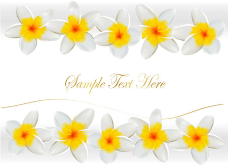 Background with frangipani flowers. Vector illustration.のイラスト素材