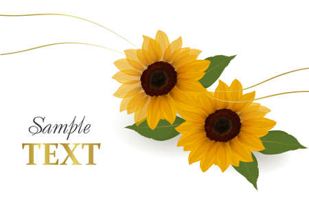 Beautiful yellow Sunflower background. Vector.のイラスト素材