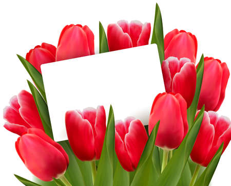 Red tulips and blank of card Red tulips and blank of card
