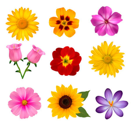 Big set of beautiful colorful flowers. のイラスト素材