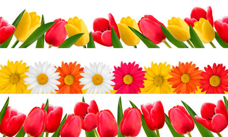 Spring flower borders. Vector.のイラスト素材
