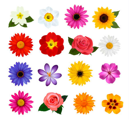 Big collection of colorful flowers. のイラスト素材