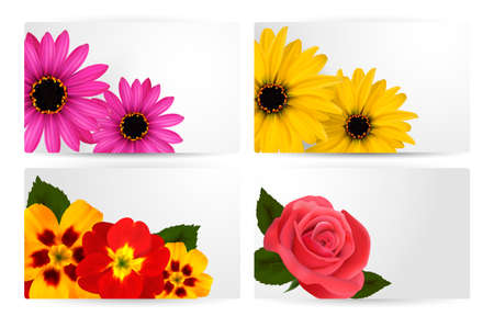 Set of gift cards with different colorful flower. のイラスト素材