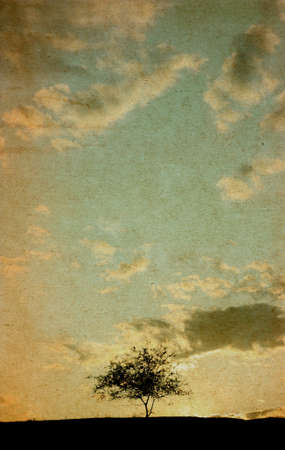 Grunge image. Lonely tree against the sky illuminated by the setting sunの写真素材