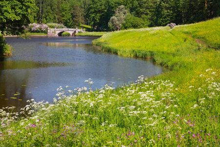 Pavlovsk Park. Riverbank Slavyanka