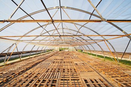 Greenhouse empty with pallets lying on the ground