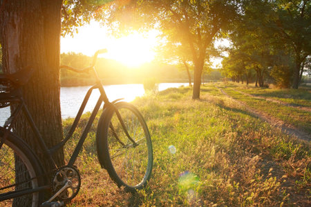 Summer landscape, bicycle near a tree on the river bank at sunsetの写真素材