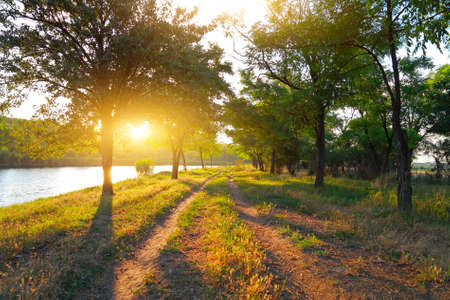 Countryside landscape, rural road along the river between the trees at sunsetの写真素材