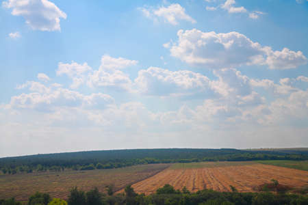 Countryside landscape, field, forest and clouds in the skyの写真素材