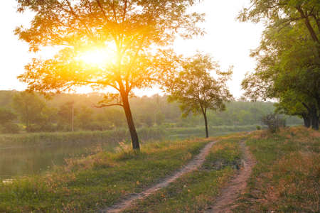 Rural landscape, rural road along the river between the trees at sunsetの写真素材