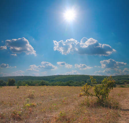 Forest steppe landscape against the sky with cloudsの写真素材