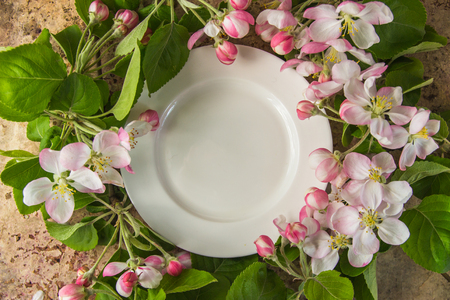 Plate framed with blossoming apple branches, copy space for your text.の写真素材