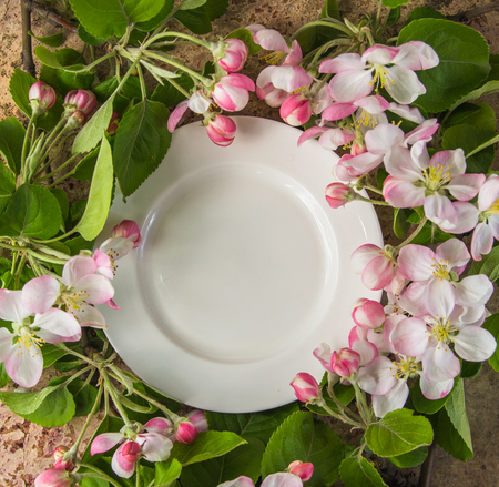 Plate framed with blossoming apple branches, copy space for your text.の写真素材