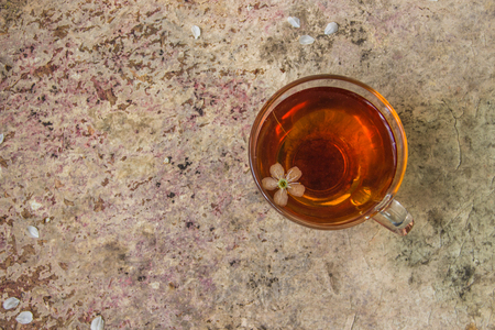 Tea and branches of a blossoming cherry tree.の写真素材