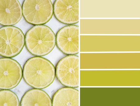 Pallete of lime colours, yellow and green.の写真素材