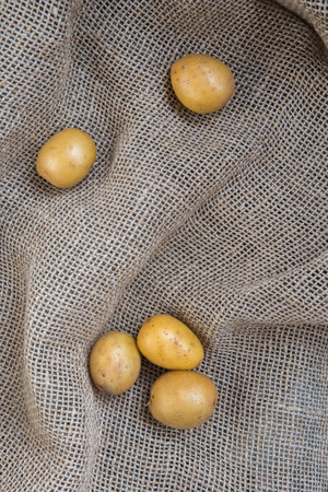 Baby potatoes on a table. Raw potatoes.の写真素材