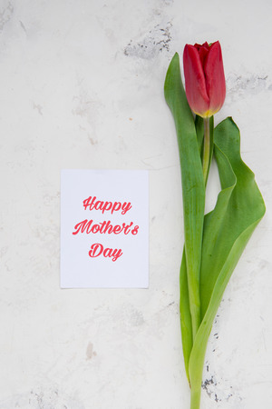 Happy Mother's Day card with red tulips.の写真素材