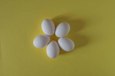 White eggs shaped flower on a yellow background top view.の写真素材