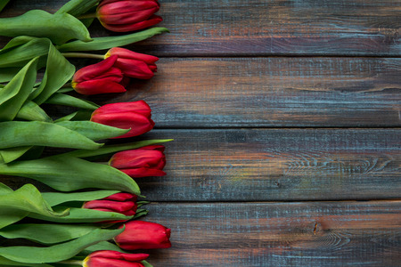 Red tulips top view with copy space.の写真素材