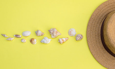 Seashells and hat on a yellow background, summer holidays mood