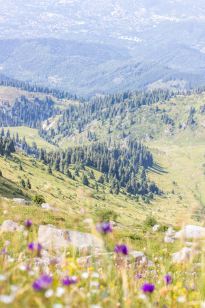 Mountain valley in summer, Almaty, Kazakhstan. View from the mountain peak