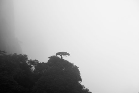 Mountains and mistの写真素材