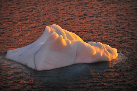 Drifting icebergs. Global warming. Climate change. Antarctica, Arctic. Greenland