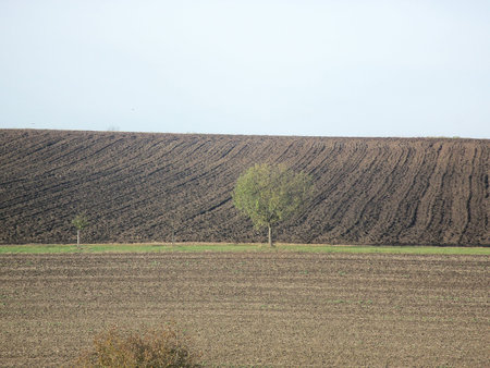 landscape