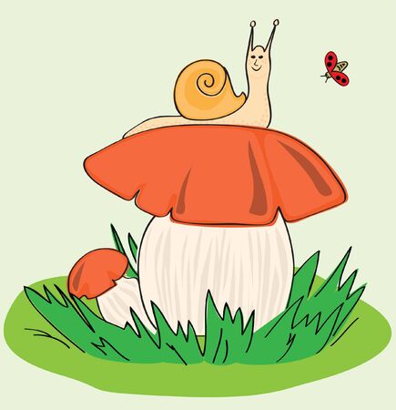 Snail, Mushroom, Ladybirdのイラスト素材