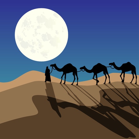 Night caravanのイラスト素材