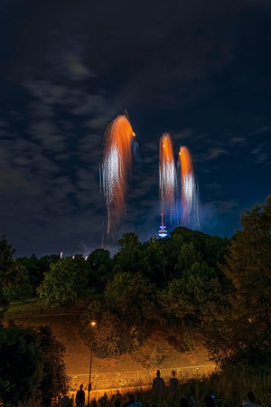 Crowd watching fireworks in a park at night.